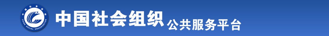 美女被打几把操逼视频网站全国社会组织信息查询